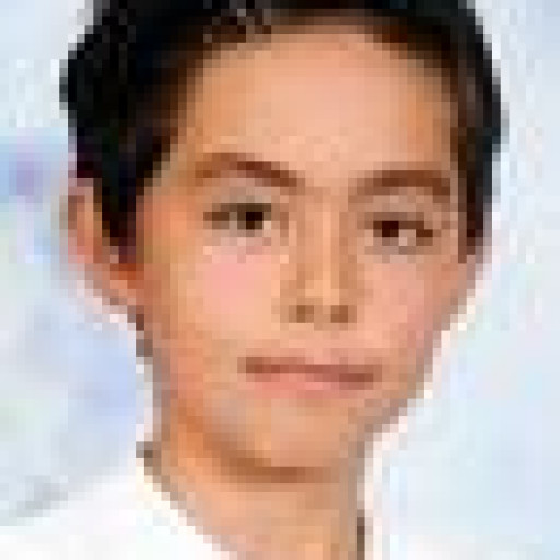 Doan Truong